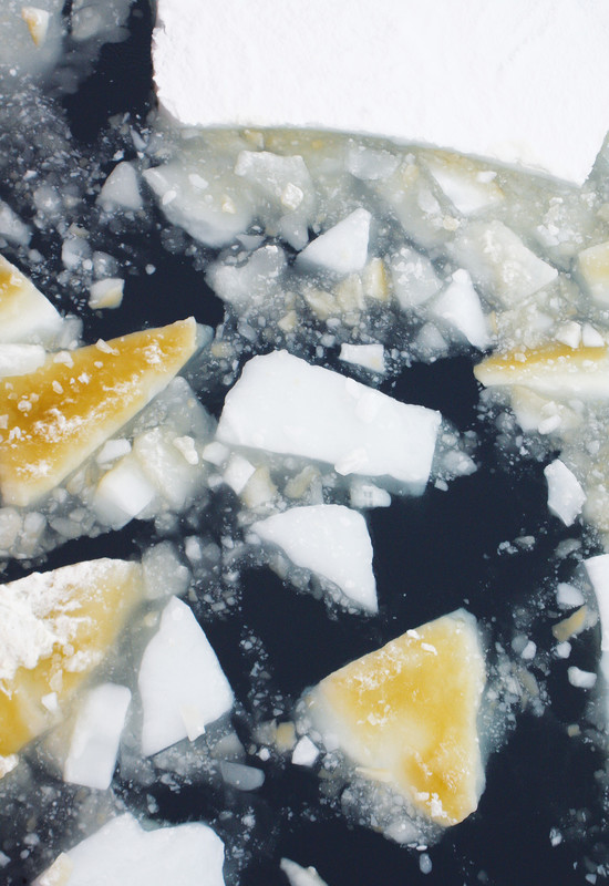 Algae on overturned floes of sea ice.