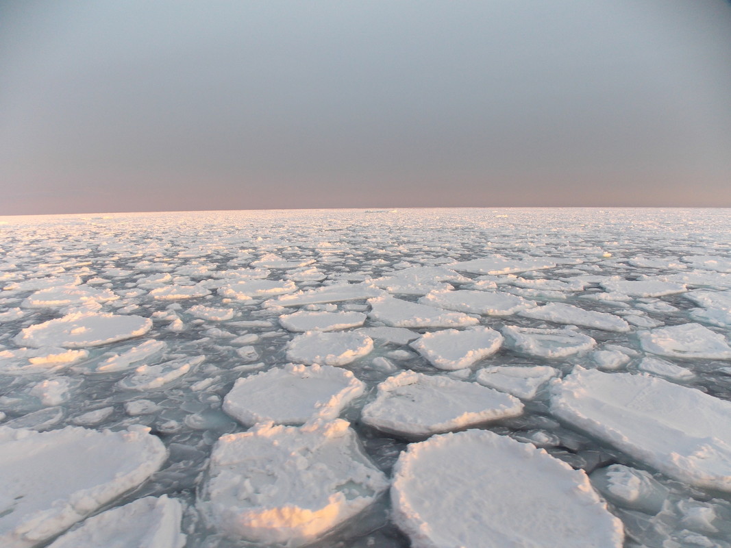 Pancake ice (two types or stages of development).