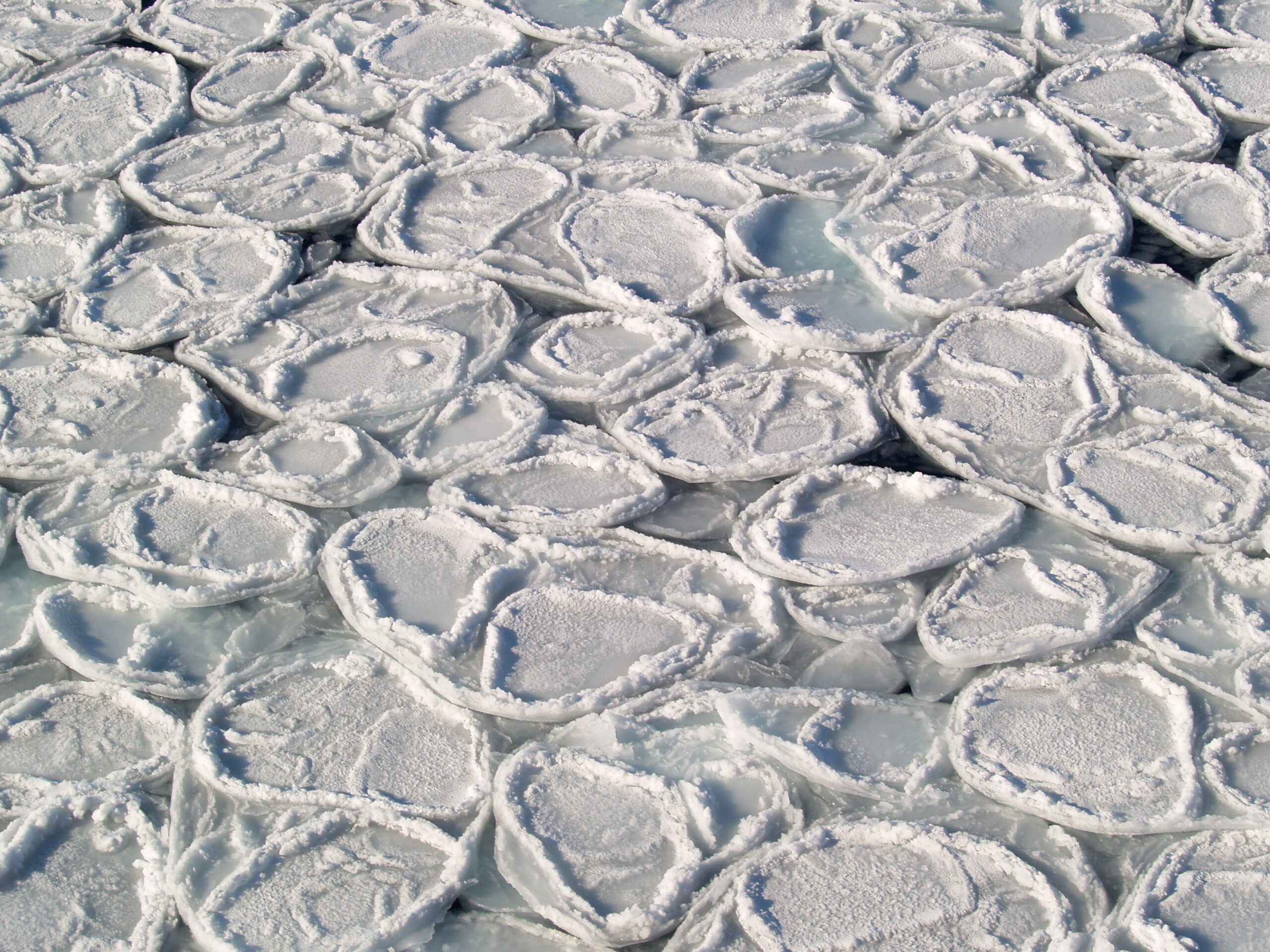 Pancake ice, flooded and rafted to young ice with light, wet snow cover.