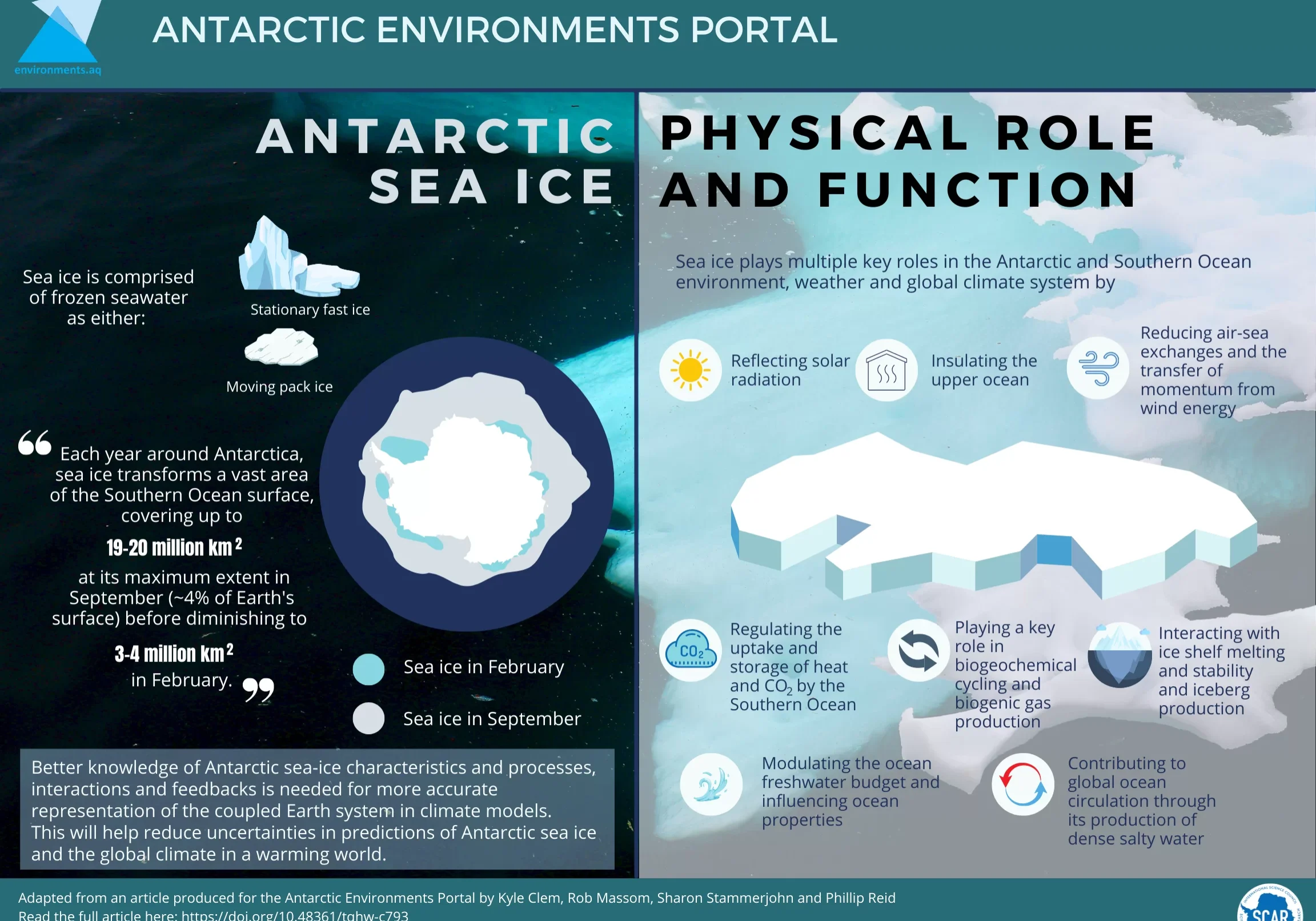 INFOGRAPHIC: SCAR role and function