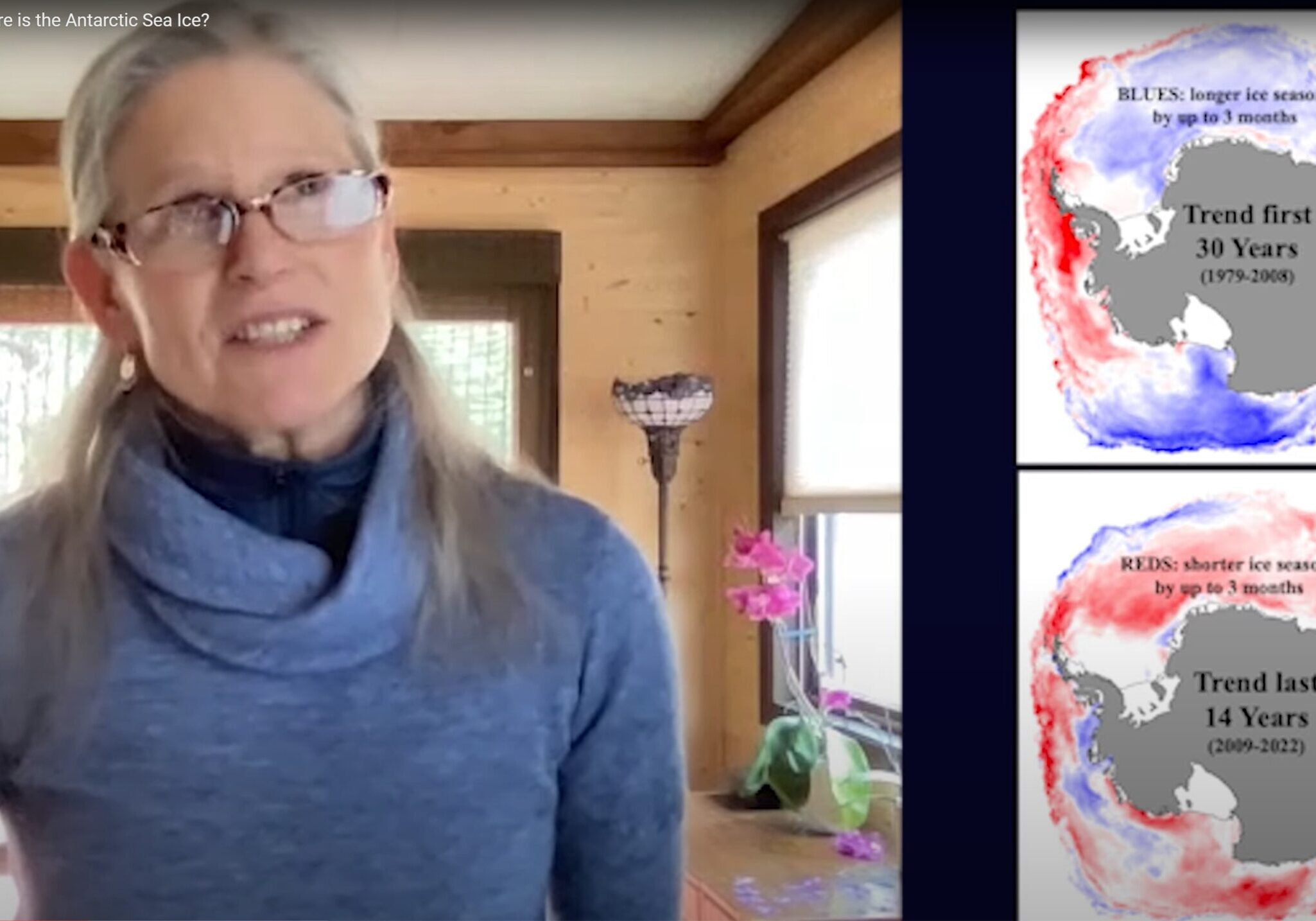 INTERVIEW: Sharon Stammerjohn. Melting Point: Where is the Antarctic Sea Ice?